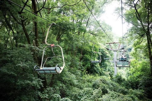 又一个国家4a级旅游景区 宜宾市翠屏区跑出文旅发展 加速度